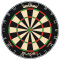 Tarcza WINMAU BLADE 6