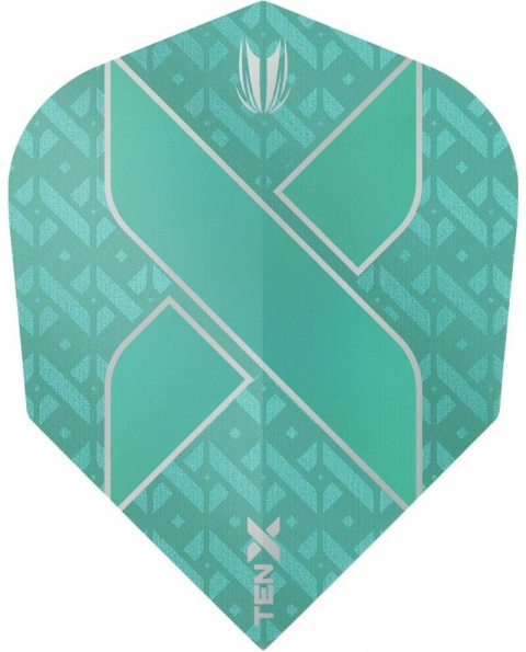 Target TEN-X Vision Ultra Flights no1 Target TEN-X Vision Ultra Flights no1