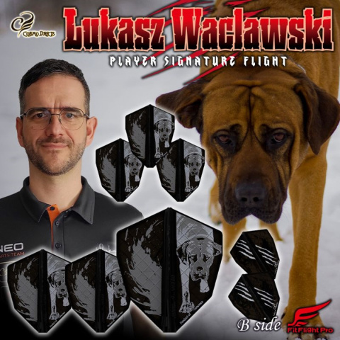 Piórka Fit Flight PRO COSMO DARTS x Lukasz Waclawski ver.1 Model S-4 lub S-5 Piórka Fit Flight PRO COSMO DARTS x Lukasz Waclawski ver.1 Model S-4 lub S-5