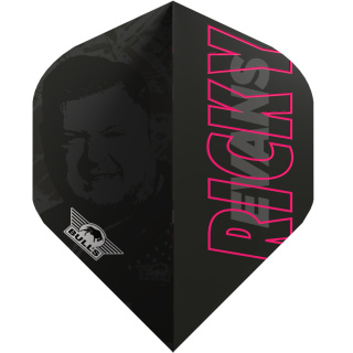 Piórka Bull's NL Player 100 Ricky Evans 80 E2 Standard