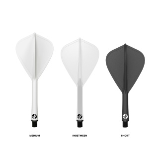 Shot Flight Deck-One Piece Dart Flight And Shaft System