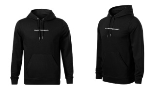 DARTONIKA personalized shirt - green