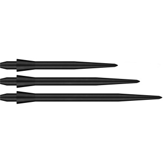 Groty Bull's Conic Black Points