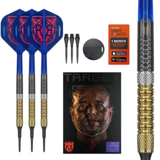 Soft Target Raymond van Barneveld G6 95%