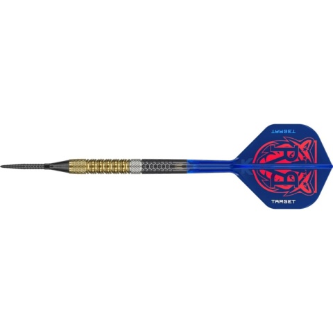 Soft Target Raymond van Barneveld G6 95%