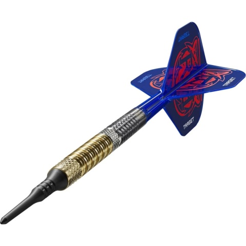 Soft Target Raymond van Barneveld G6 95%