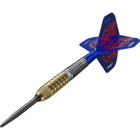 Lotki Target Raymond van Barneveld G6 Swiss Point 95%
