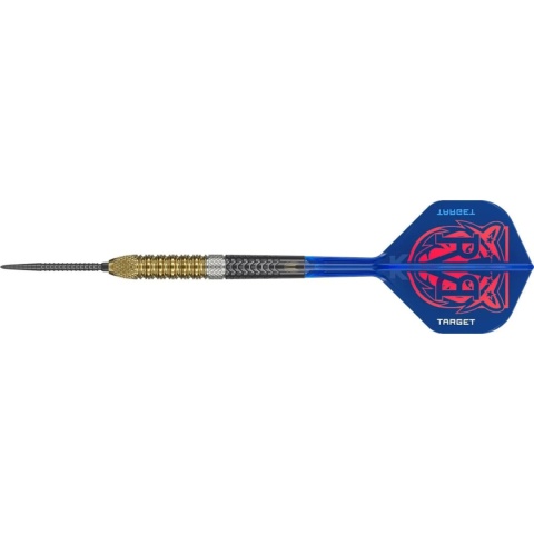 Lotki Target Raymond van Barneveld G6 Swiss Point 95%