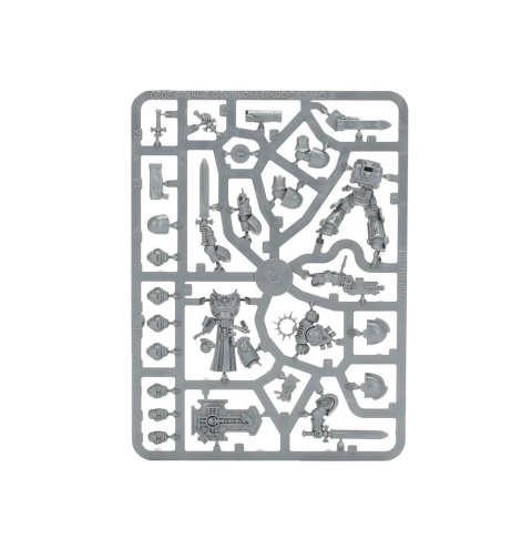 Space Marines Bladeguard Veterans – Elitarni Weterani Walki Wręcz – Warhammer 40,000