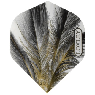Piórka Loxley Grey Gold Feather No2