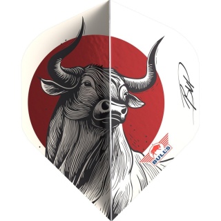 Bull's Design 100 Rising Bull No.2 – piórka do lotek
