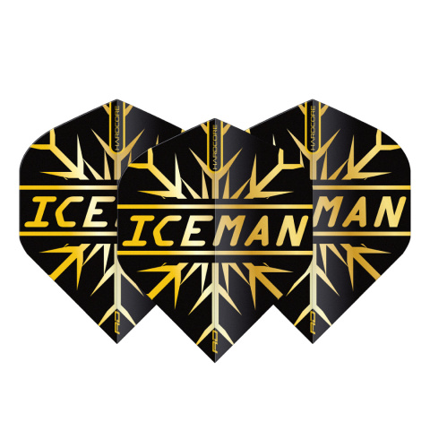 RedDragon GERWYN PRICE GOLD SNOWFLAKE HARDCORE PREMIUM STANDARD RedDragon GERWYN PRICE GOLD SNOWFLAKE HARDCORE PREMIUM STANDARD