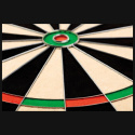 Tarcza WINMAU Champions Choice Blade Dual Core