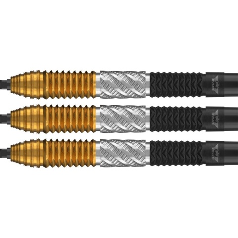 Bull's Dirk van Duijvenbode 95% CP – steel tip darts