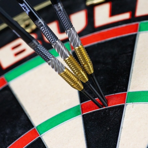 Bull's Dirk van Duijvenbode 95% CP – steel tip darts