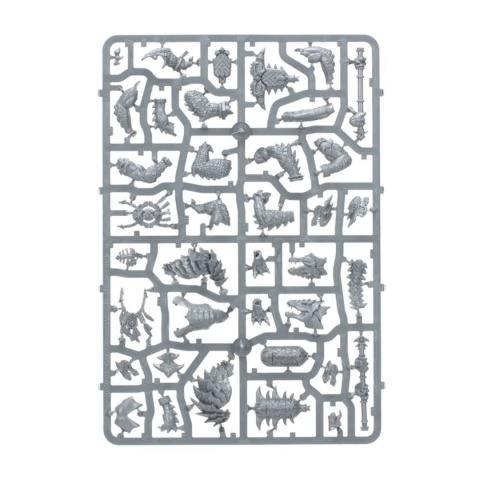 Warhammer Age of Sigmar: Seraphon – Spearhead