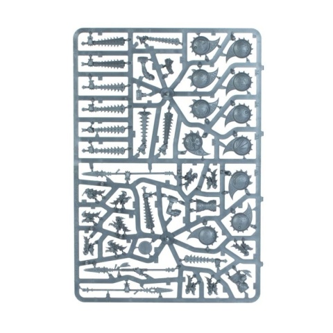 Warhammer Age of Sigmar: Seraphon – Spearhead