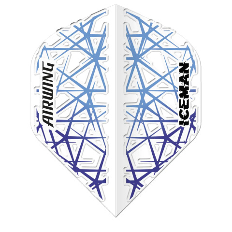 Red Dragon Airwing Gerwyn Price Standard Flight Red Dragon Airwing Gerwyn Price Standard Flight