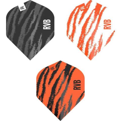 Target Pro Player Raymond van Barneveld No.2 Target Pro Player Raymond van Barneveld No.2