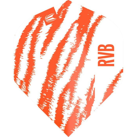 Target Pro Player Raymond van Barneveld No.2 Target Pro Player Raymond van Barneveld No.2