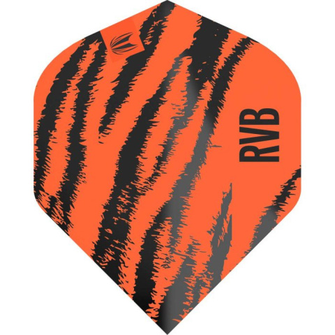 Target Pro Player Raymond van Barneveld No.2 Target Pro Player Raymond van Barneveld No.2