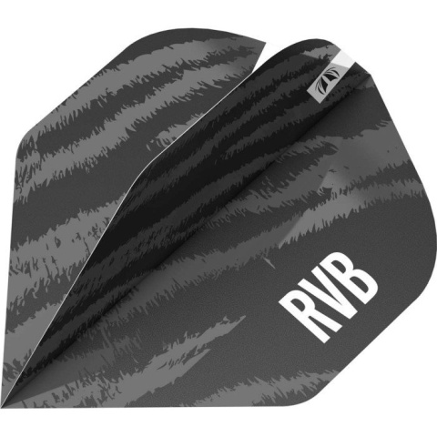 Target Pro Player Raymond van Barneveld No.2 Target Pro Player Raymond van Barneveld No.2