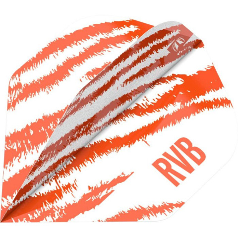 Target Pro Player Raymond van Barneveld No.2 Target Pro Player Raymond van Barneveld No.2