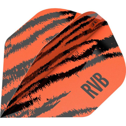 Target Pro Player Raymond van Barneveld No.2 Target Pro Player Raymond van Barneveld No.2
